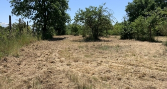 Terreno agricolo con casaletto in vendita a Nepi.